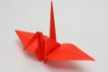 Video  DvdiV –  Funny ,  Arte  dell'  Origami  per  Creare un  Carinissimo  Tsuru