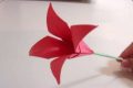 Video  DvdiV –  Funny ,  Arte  dell'  Origami  per  Creare un  Fiore  Lily