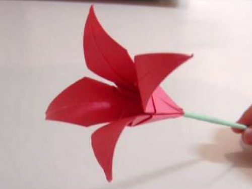 Video  DvdiV –  Funny ,  Arte  dell’  Origami  per  Creare un  Fiore  Lily