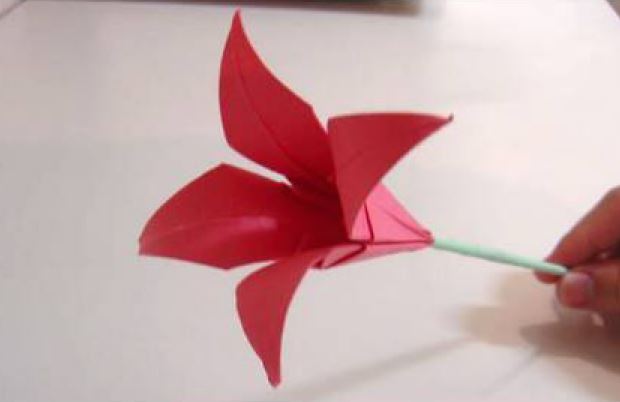 Funny , Arte dell' Origami per Creare un Fiore Lily