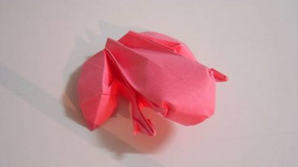 Funny , Arte dell' Origami per Creare una Rana ( Ranoshi )